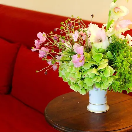 Elbvilla Apartament Drezno